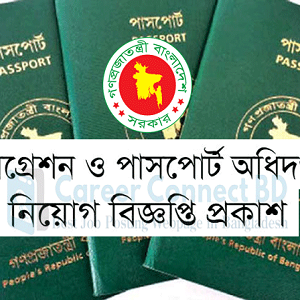 DIP Job Circular
