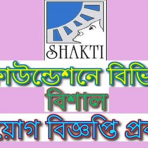 Shakti Foundation Job Circular 2025 – www.sfdw.org