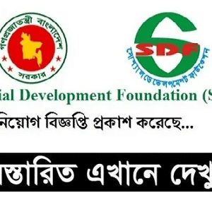 Social Development Foundation Job Circular 2024