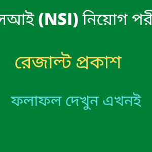 NSI Exam Result 2021