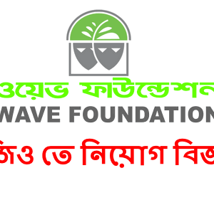 Wave Foundation NGO Job Circular 2024