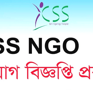 CSS NGO