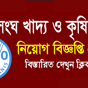 Food & Agriculture Organization FAO