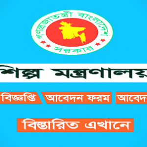 Ministry of Industries Job