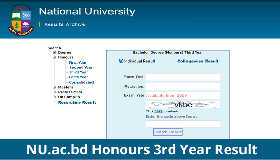 NU.ac.bd Honours 3rd Year Result 2024 Marksheet