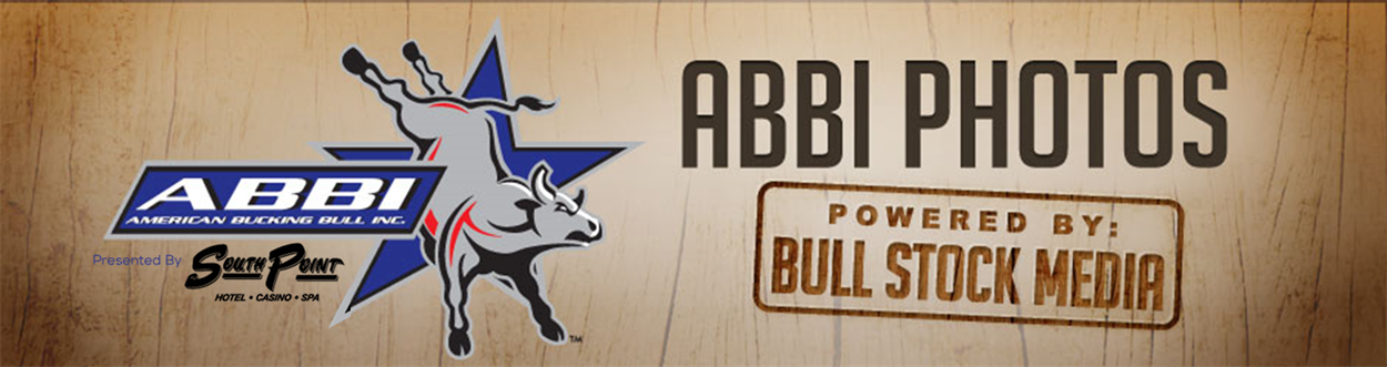 Abbi Member Login