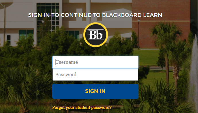 Blackboard Login Irsc