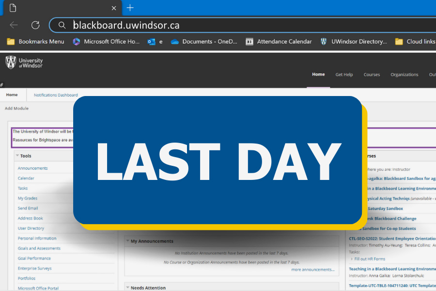 Blackboard Login Uwindsor