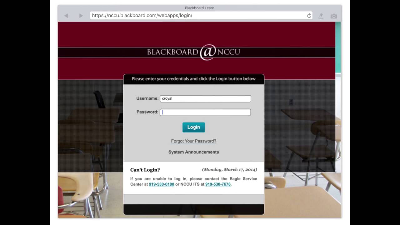 Blackboard Nccu Login