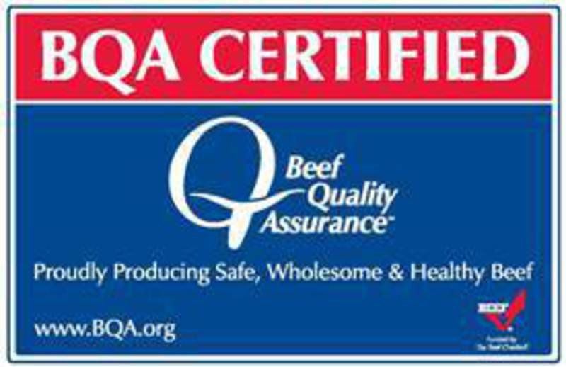 Bqa Certification Login