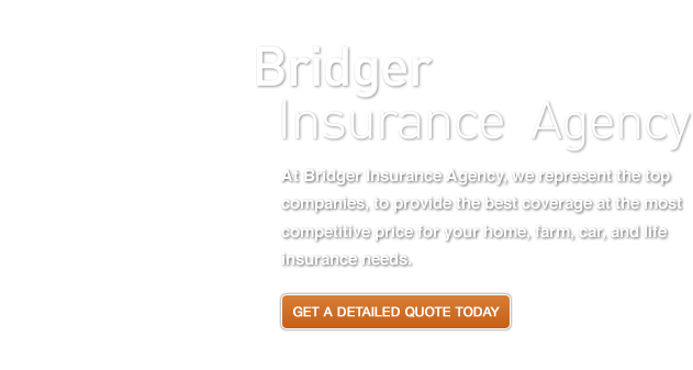 Bridger Insurance Agent Login