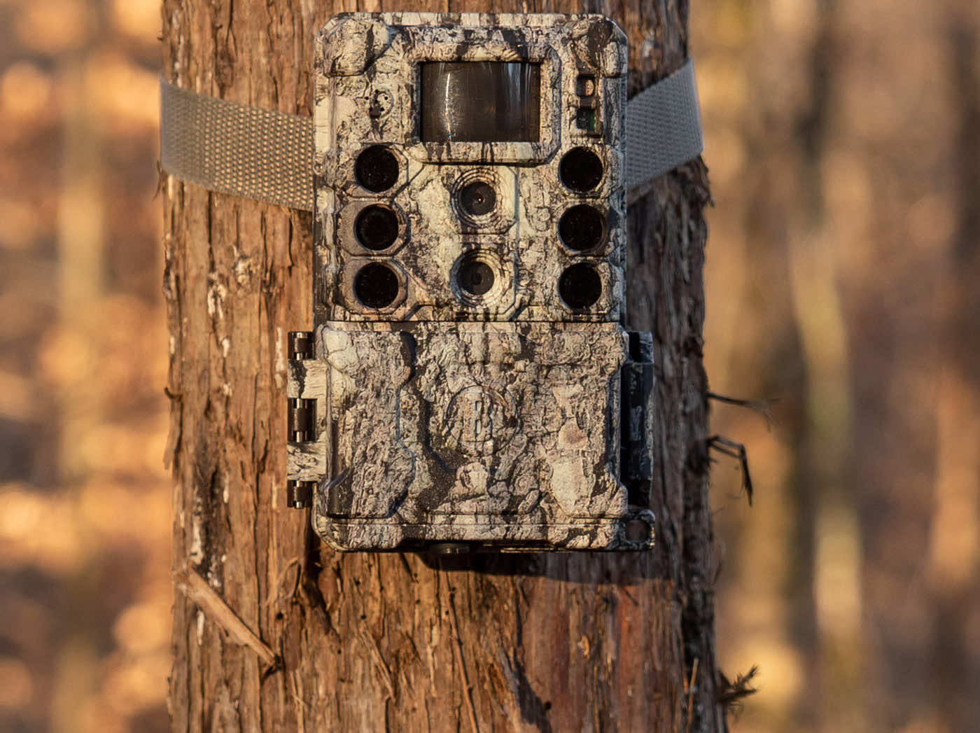 Bushnell Trail Camera Login