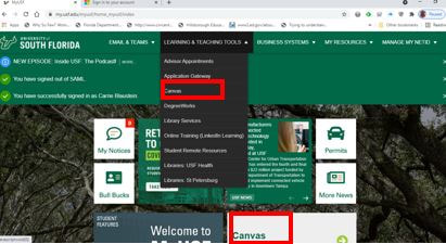 Canvas Login Usf