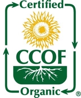 Ccof Login
