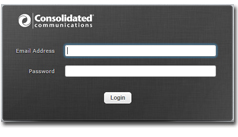 Consolidated Email Login