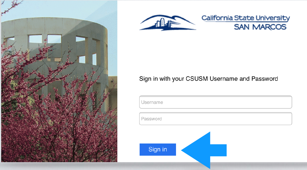 Csusm Email Login