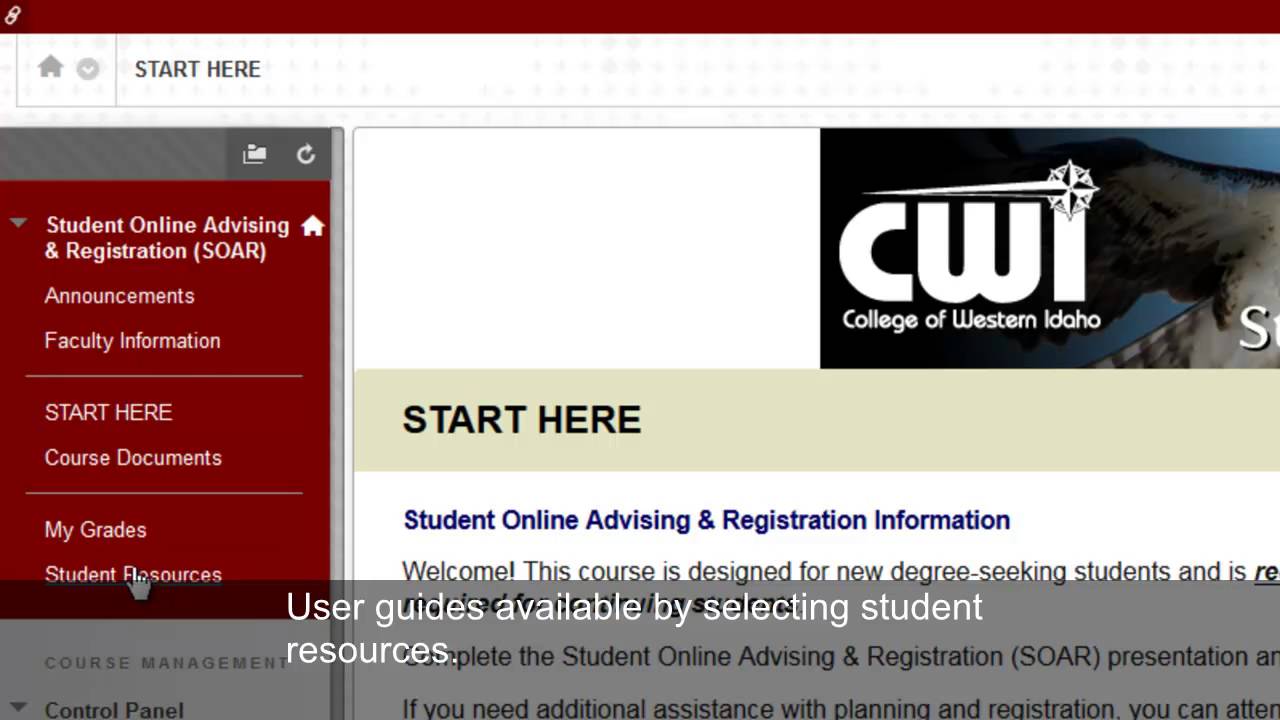 Cwi Blackboard Login