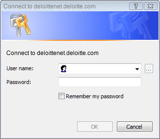 Deloitte Connect Login