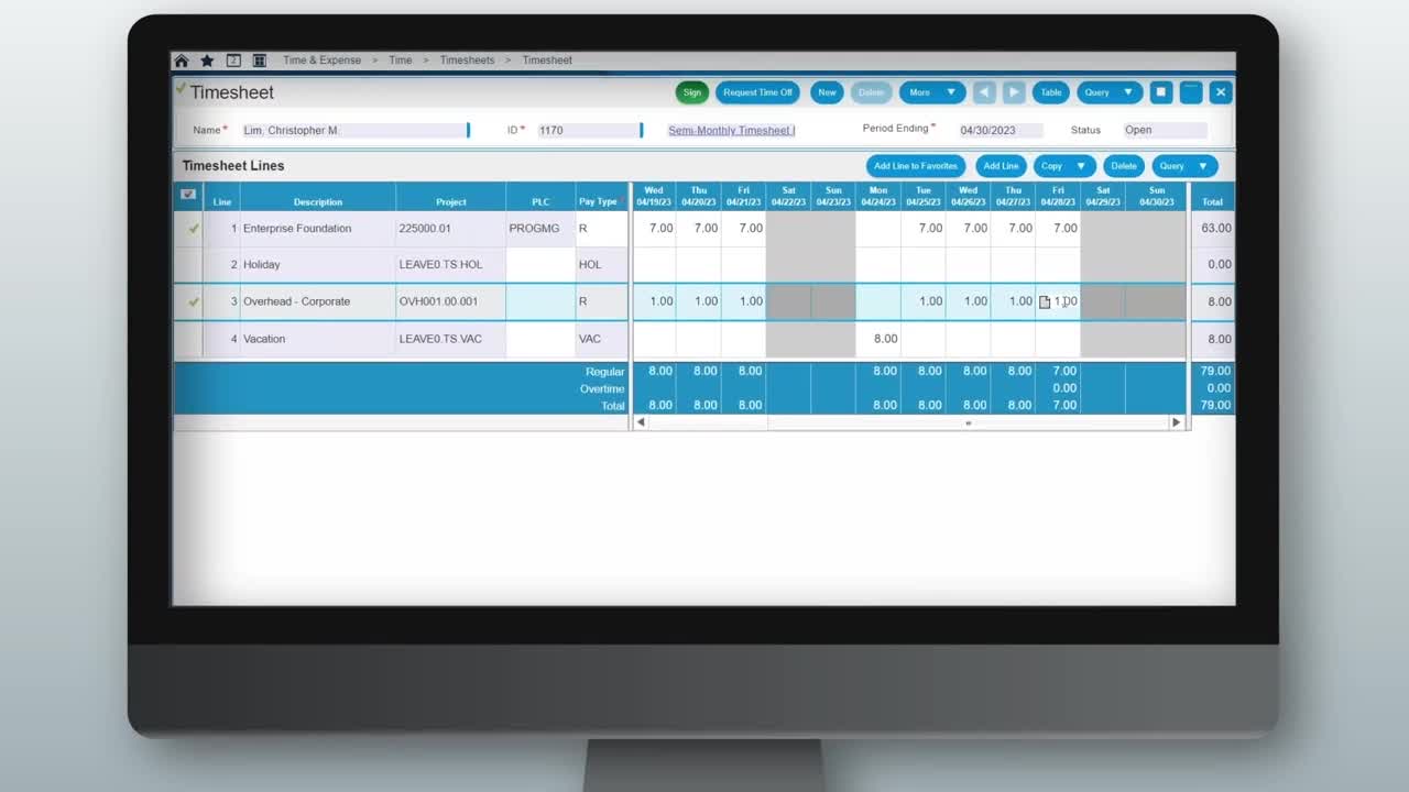 Deltek Costpoint Login Timesheet