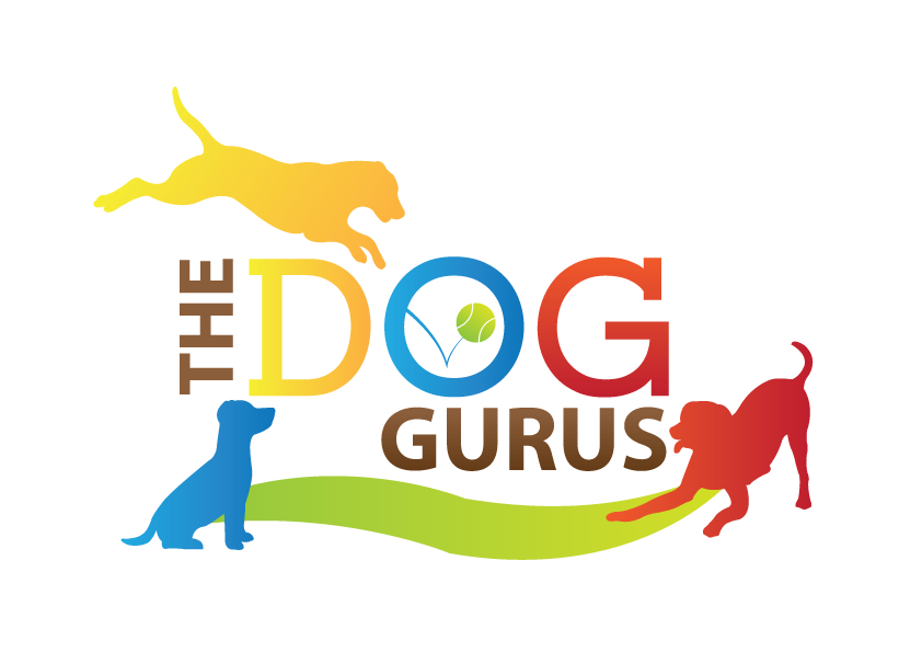 Dog Gurus Login