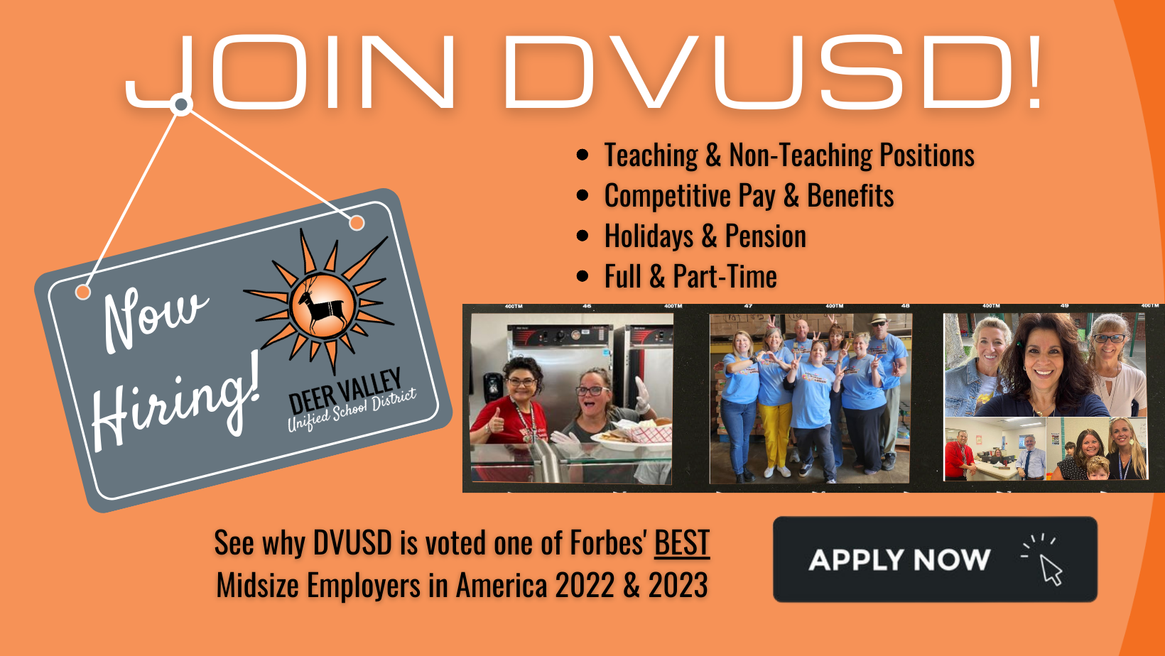 Dvusd Employee Login