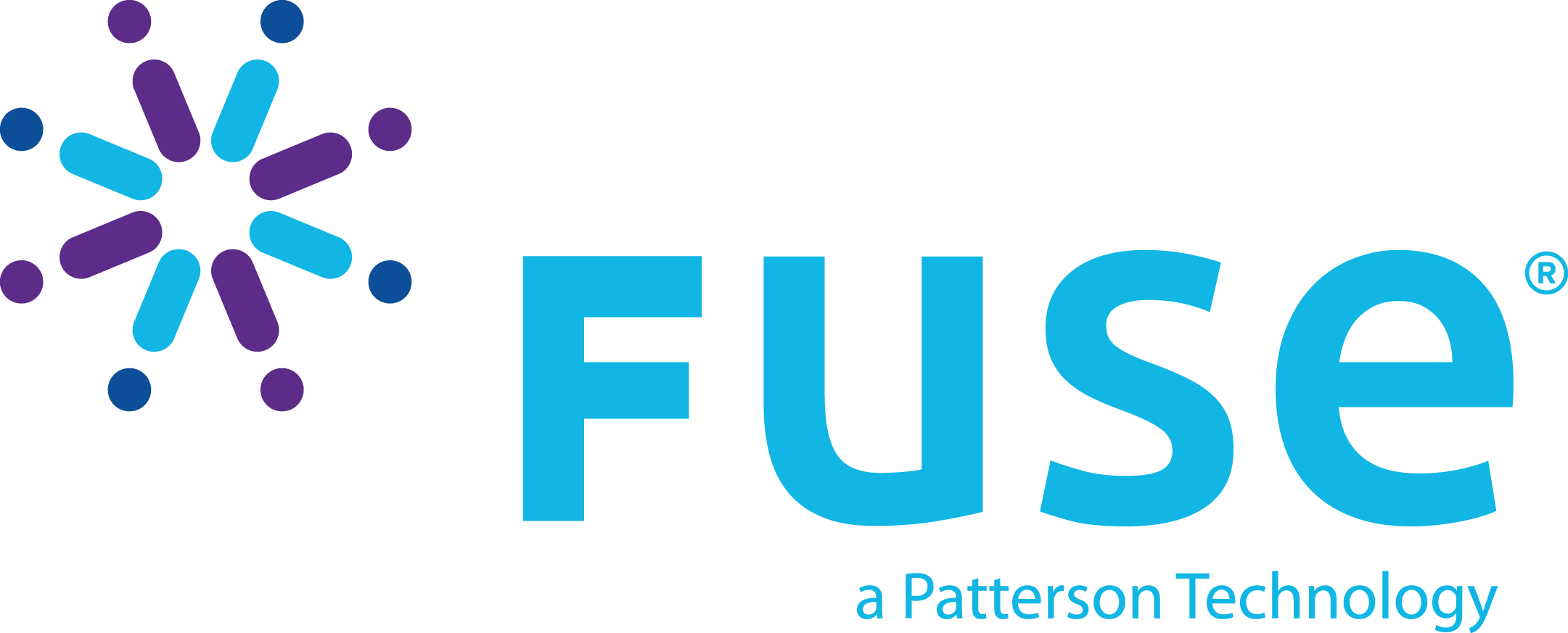 Fuse Login Patterson