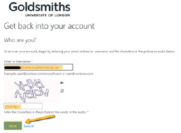 Goldsmiths Email Login