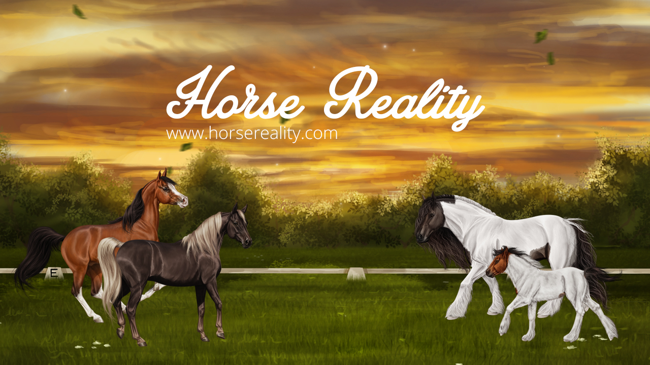 Horse Reality Login