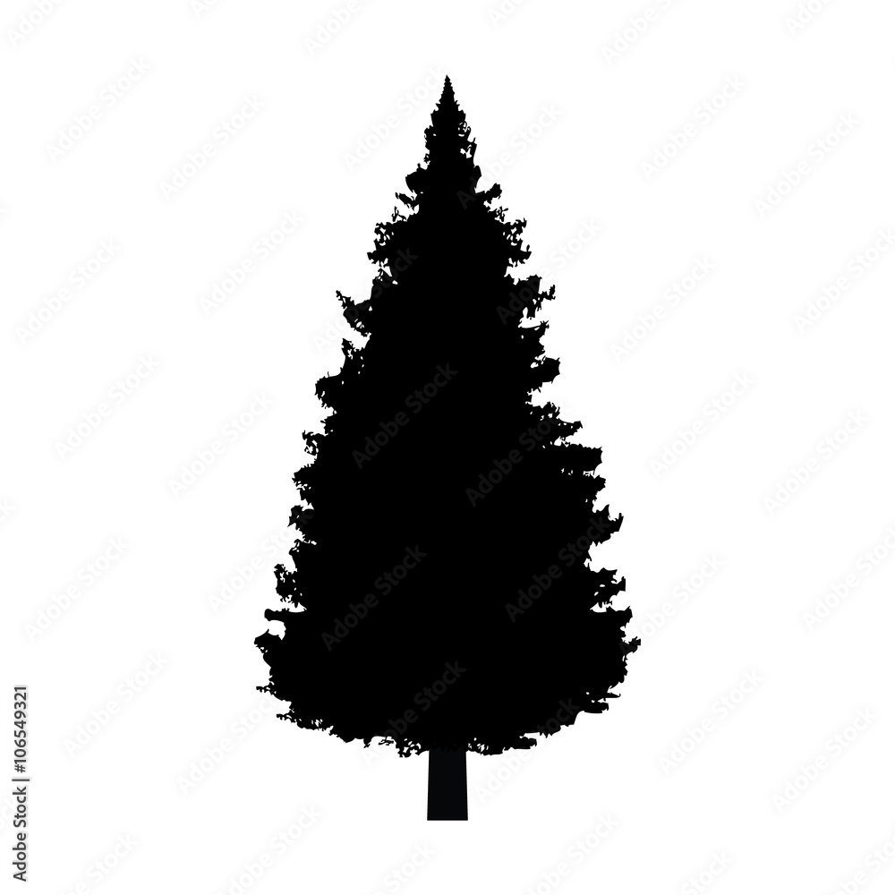 Icon Login Conifer