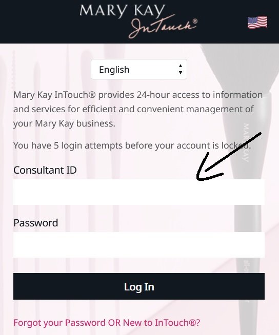 Intouch Mary Kay Login