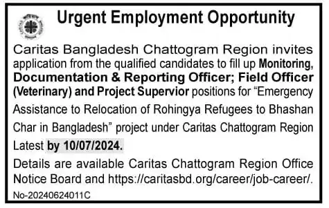 Caritas NGO Job Circular 2024