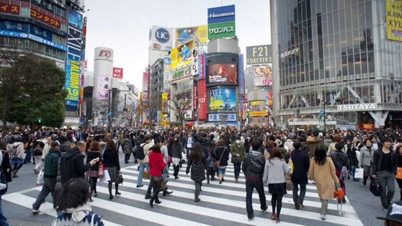 Japan Work Permit Visa